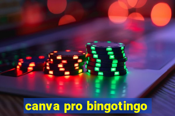 canva pro bingotingo